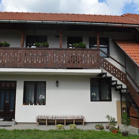 Havasi Gyopar Bed & Breakfast Praid Exterior photo