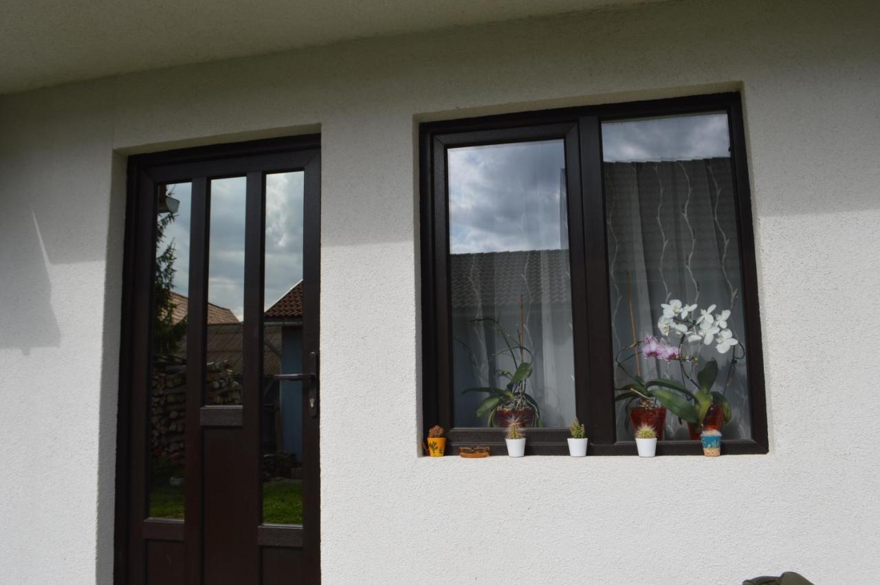Havasi Gyopar Bed & Breakfast Praid Exterior photo